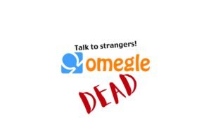 Read more about the article The Best Omegle Alternatives: Connect Safely with Strangers Online