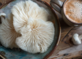 Unlocking Lion's Mane Spiritual Benefits